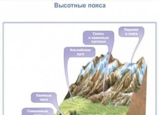 Природные зоны россии Смена природных компонентов с высотой называется